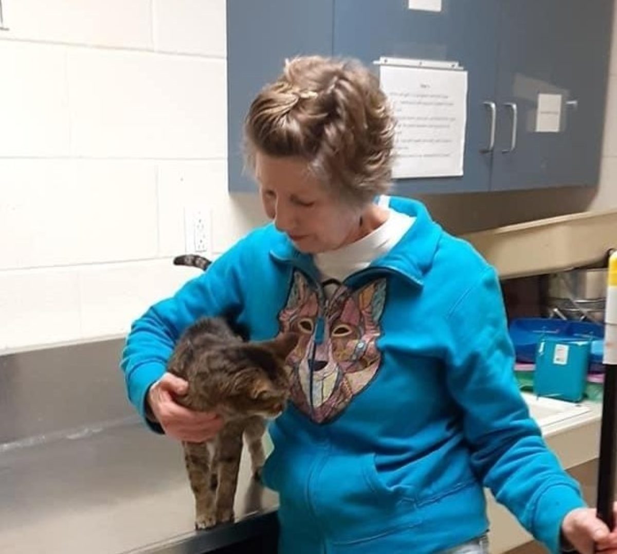 Volunteer Humane Society Of Whitley County