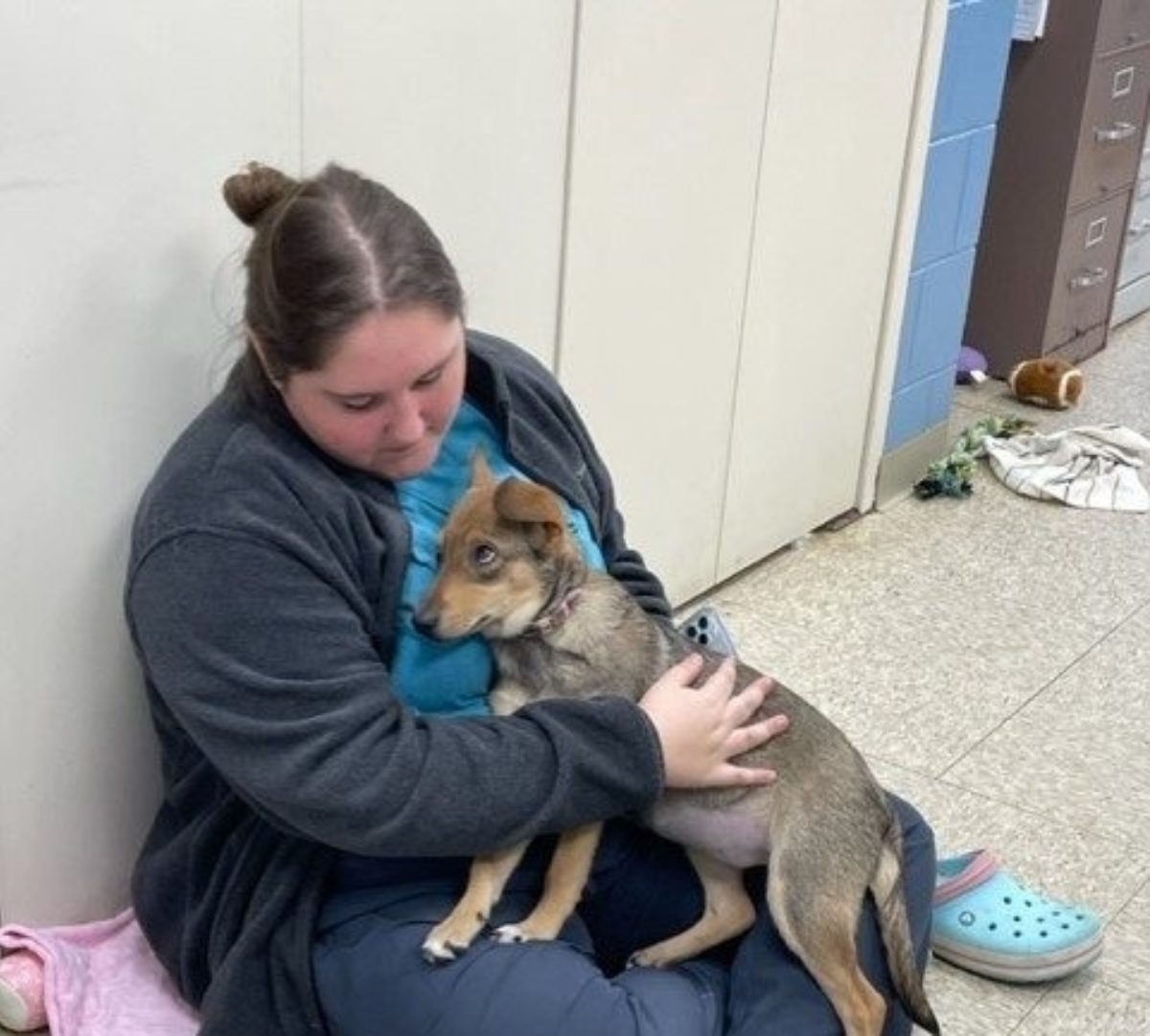 About Humane Society Of Whitley County