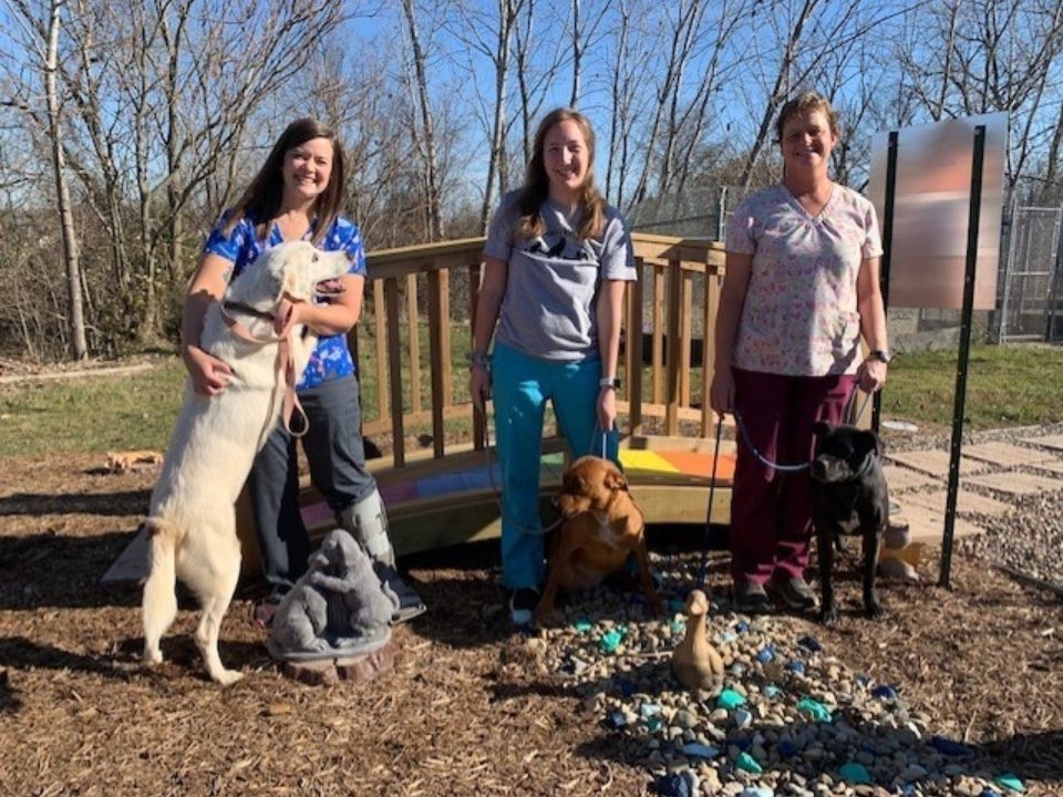 About Humane Society Of Whitley County