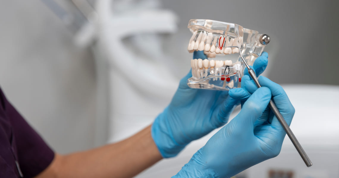 Creating a Custom Dental CRM: Everything You Need to Know
