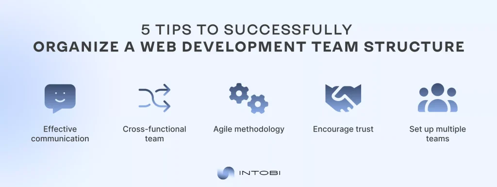 Web development team structure tips infographic