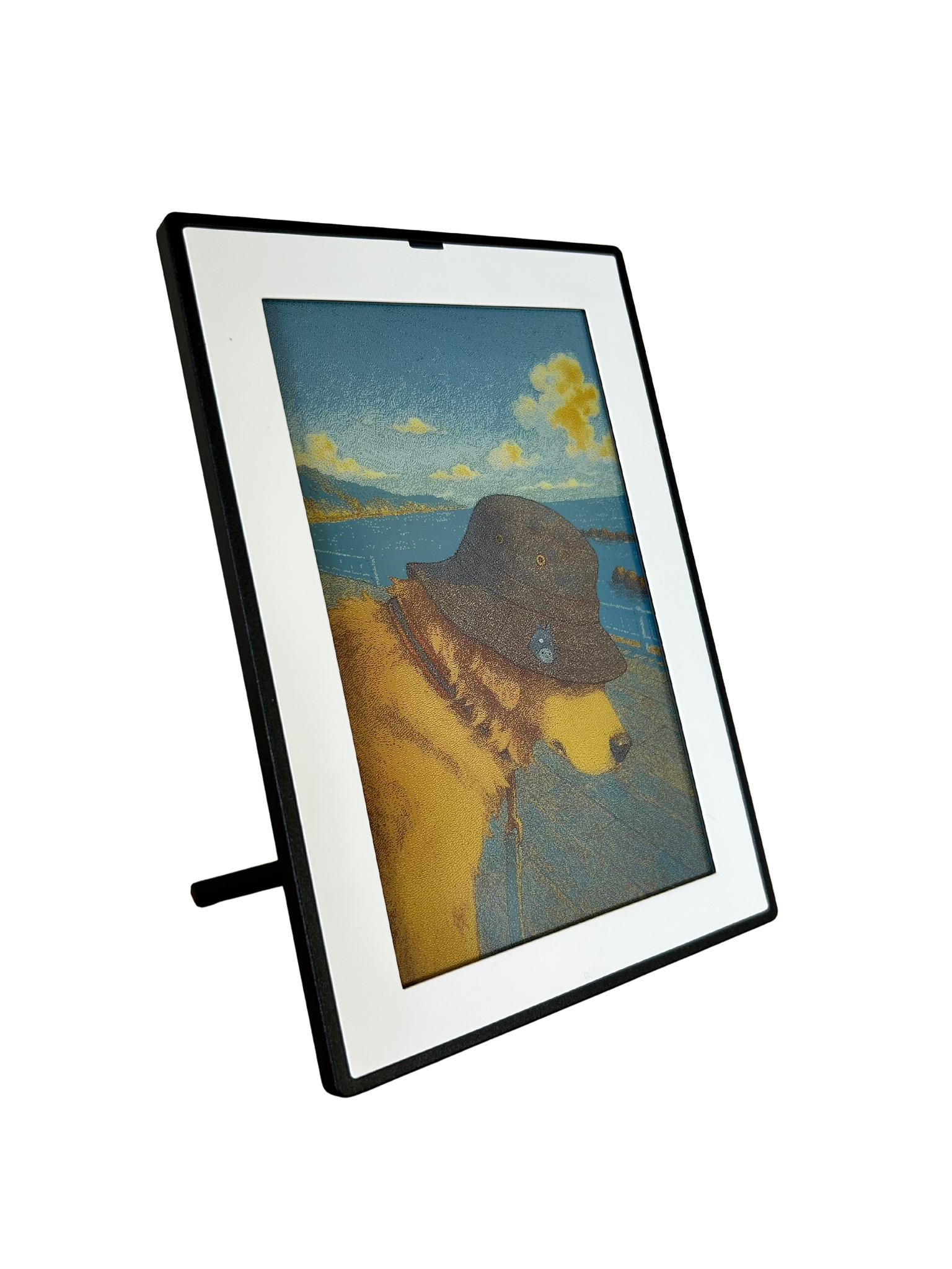 SMARTWIZ+ art
