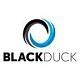BlackDuck Software (Acquired by Synopsys) 