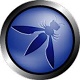 OWASP 
