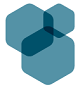 NetGuardians (Acquired by Vyntra Global) 