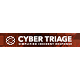 cyber triage