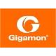 Gigamon 