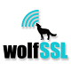 WolfSSL, Inc. 