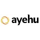 Ayehu Software (Acquired by Resolve Systems) 
