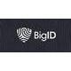 BigID Ltd. 