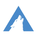 Arctic Wolf Networks 
