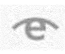 Endace 