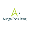 Cyberfort / Auriga 