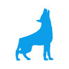 bluedog Security Monitoring 