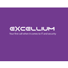Excellium Services 