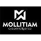 MOLLITIAM INDUSTRIES