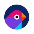 phylum.io/