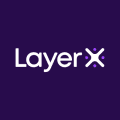 LayerX Security 