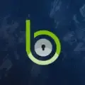 Blackpoint Cyber 
