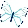 Cocoon Data