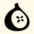 Fig Security