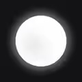 White Circle 