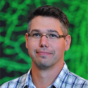 David Kloetzer