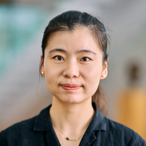 Hui Liu