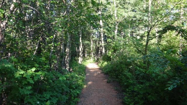 Ravine Access