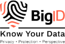 BigID 