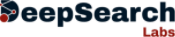 Deepsearch Labs 