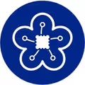Edgecortix 