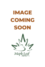IMAGE COMING SOON