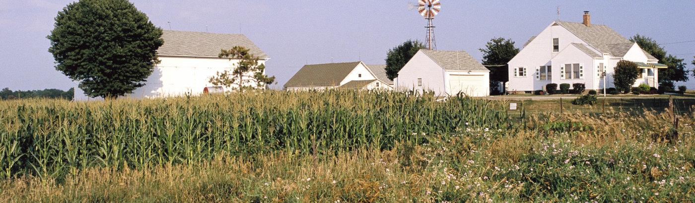 Down on the farm 2