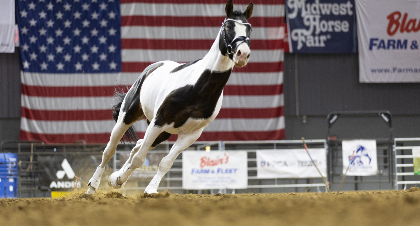 Please mark your calendar as we look forward to honoring our shared interest and celebrating the almighty equine