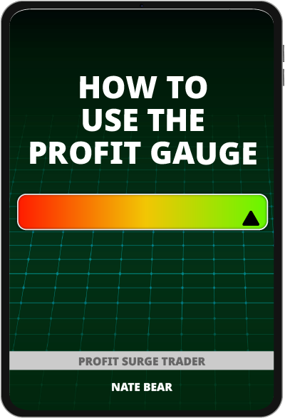 How to Use The Profit Gauge