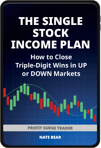 Single Stock Income Plan