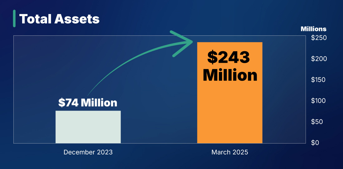 Bar chart comparing total assets december 2023 vs march 2025