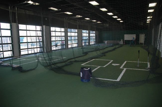 Batting cage