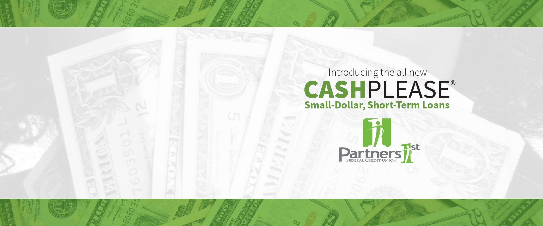 Cash Please Banners NEW