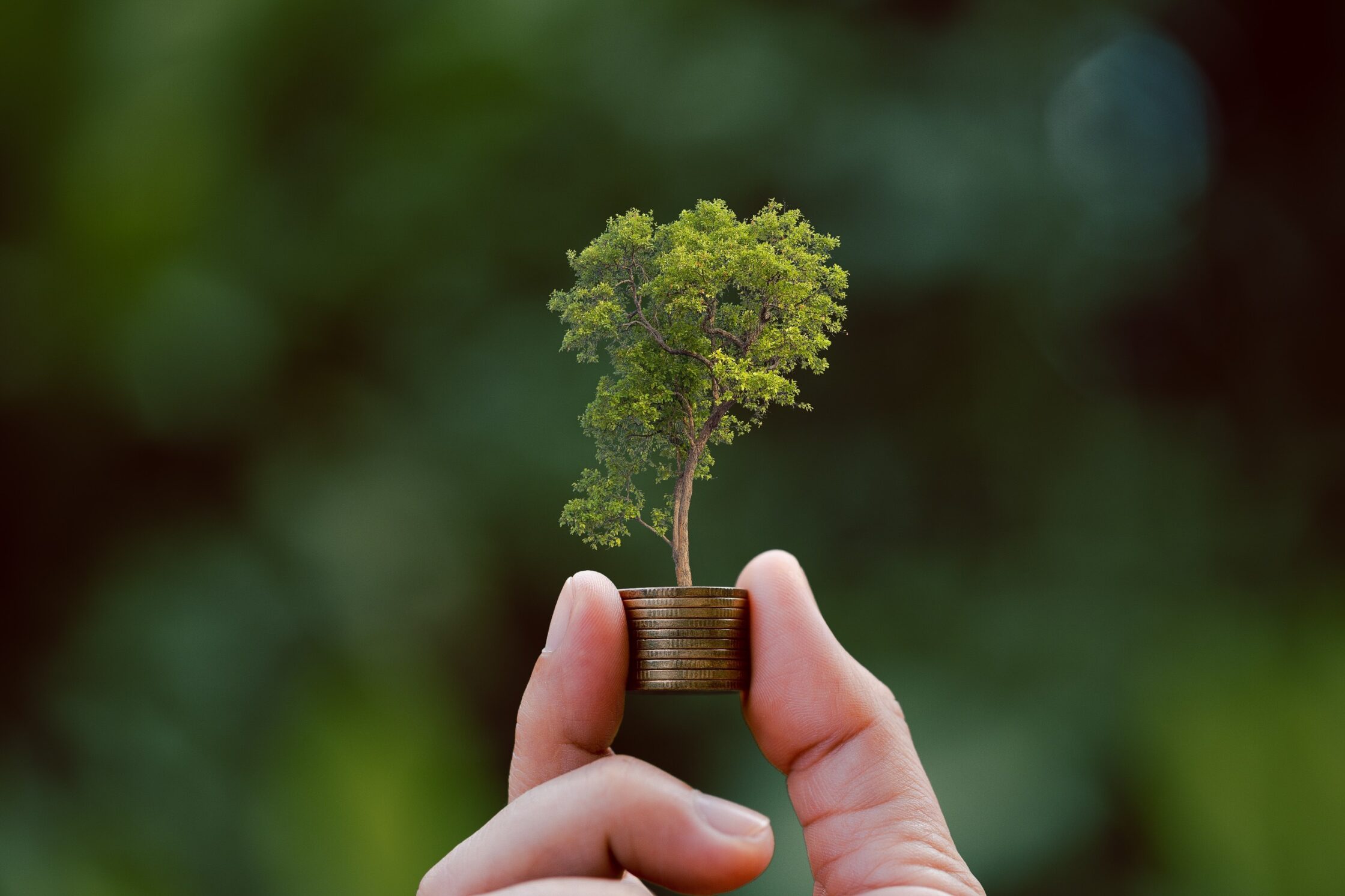 Money Savings Tips
