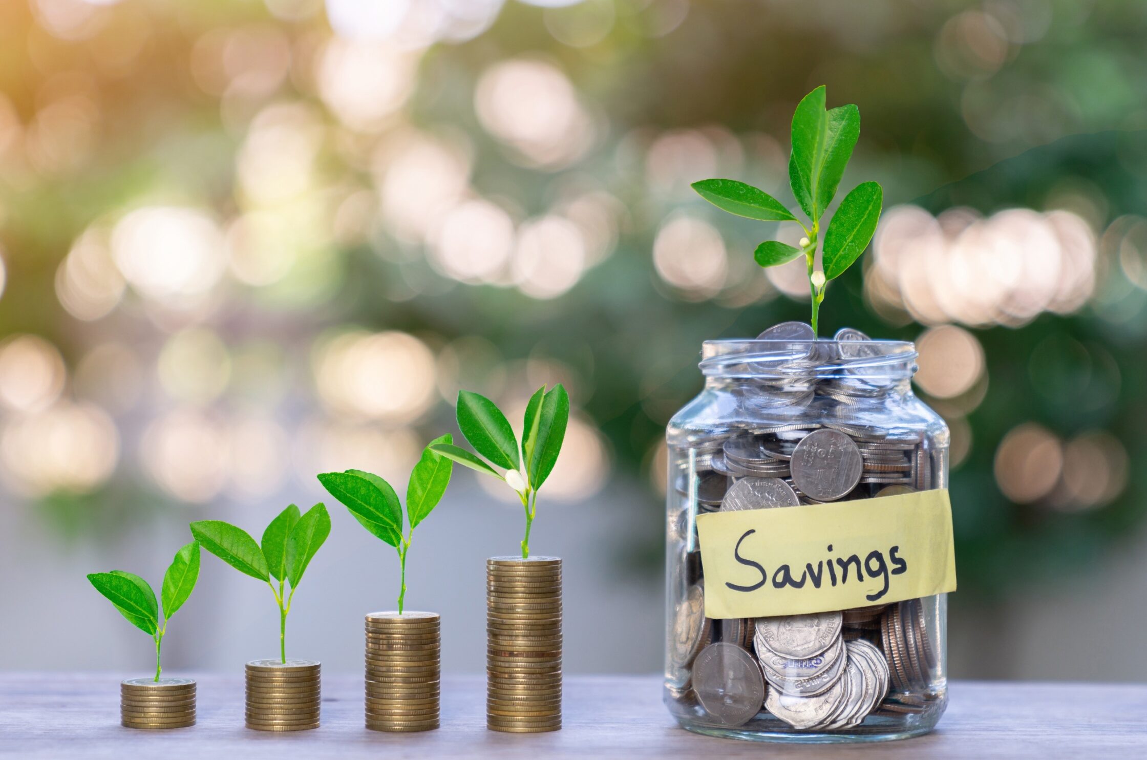What is a savings certificate