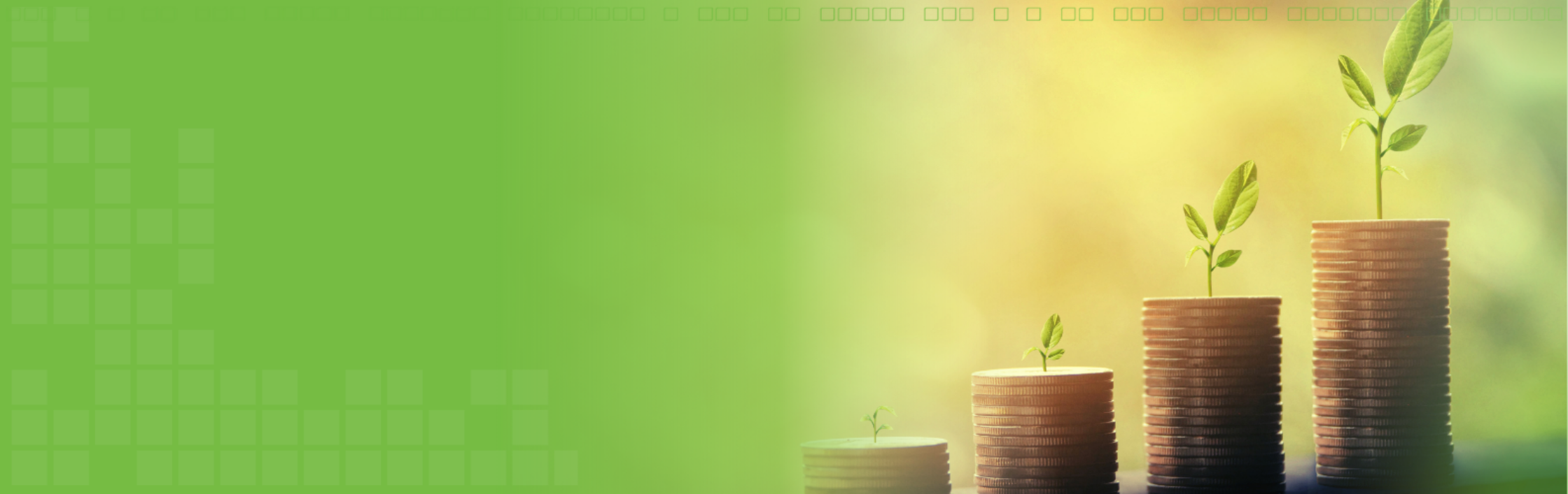 Small Change Website Slider