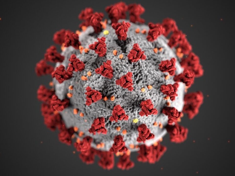 Covid virus