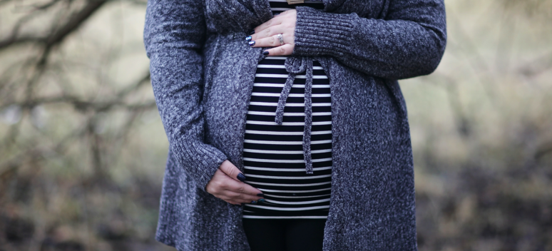 Prenatal program