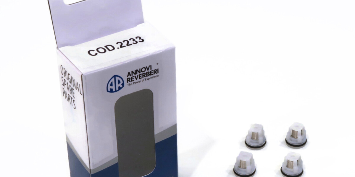 Genuine OEM Annovi Reverberi Check Valve Kit, AR2233 - The Rop Shop