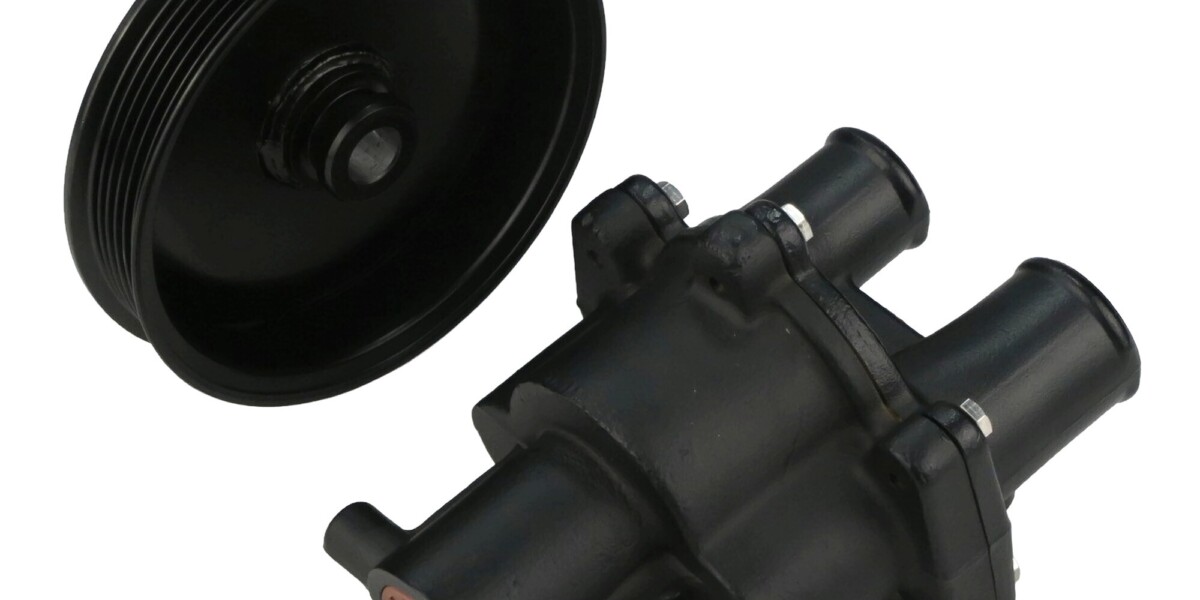 The ROP Shop Raw Sea Water Pump Assembly with Pulley for