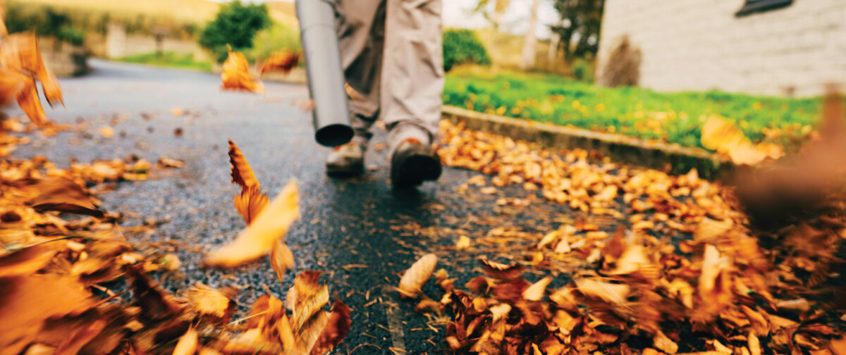 A person uses a leaf blower to clear leaves from their driveway