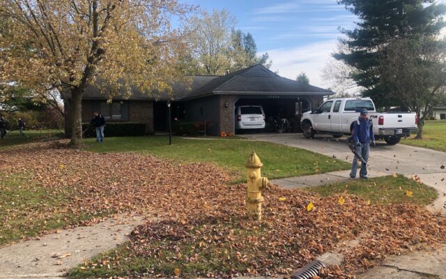 A man standing in a yard blowing leaves with a leaf blower.