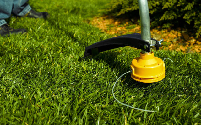 A string trimmer being used on short grass